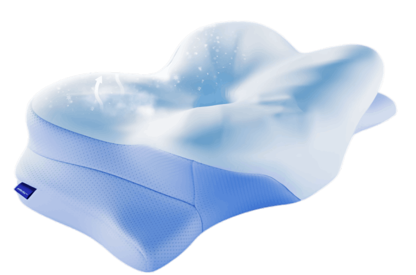 Melara pro pillow
